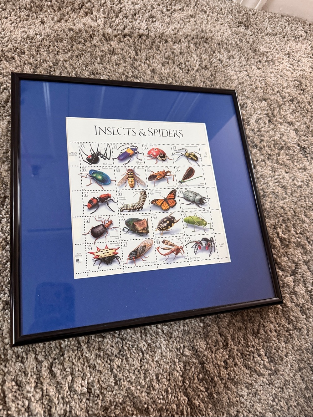 1998 USPS Insects & Spiders Stamps Professionally Framed with Blue Mat